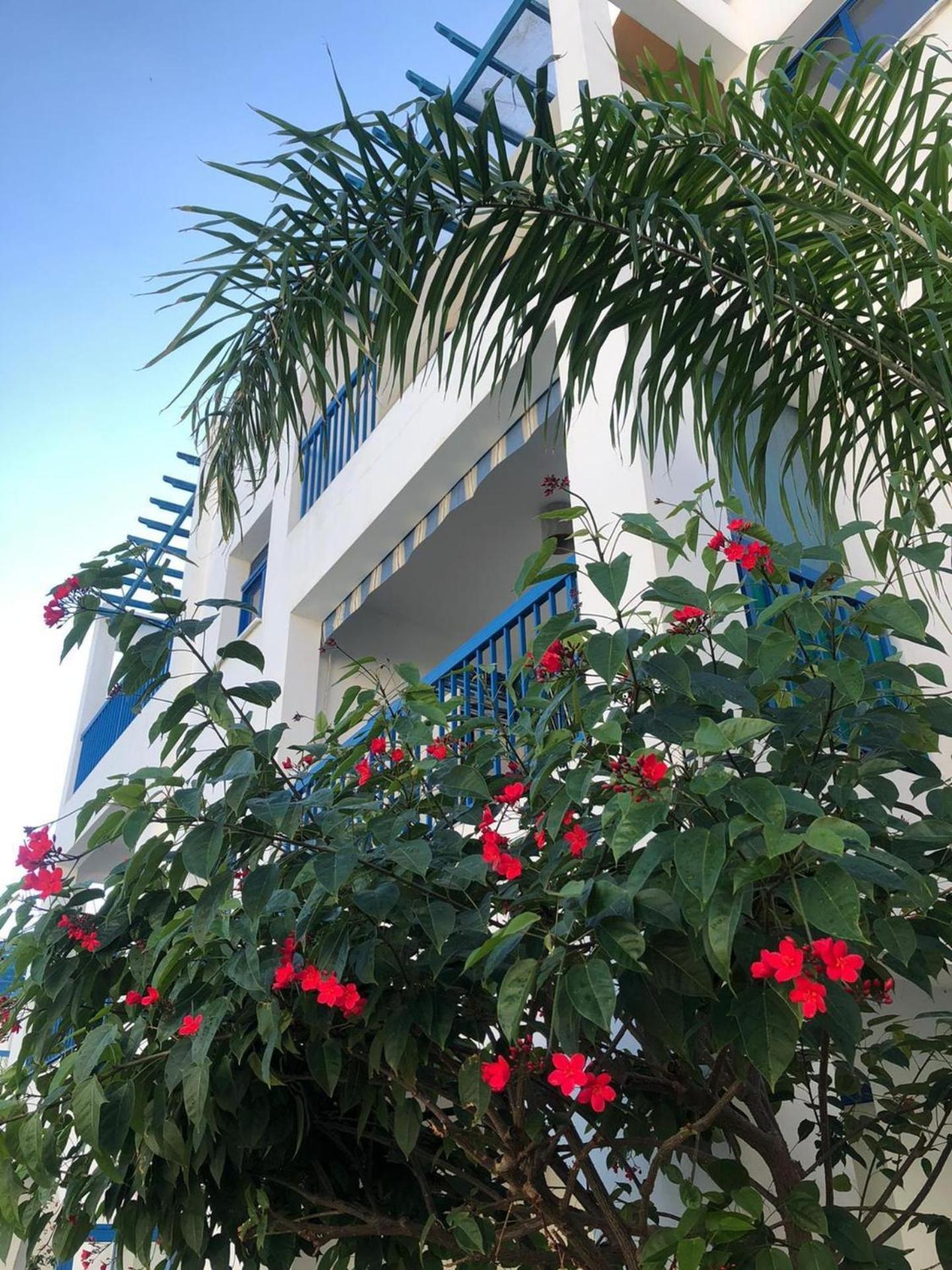 Pool View Pafos