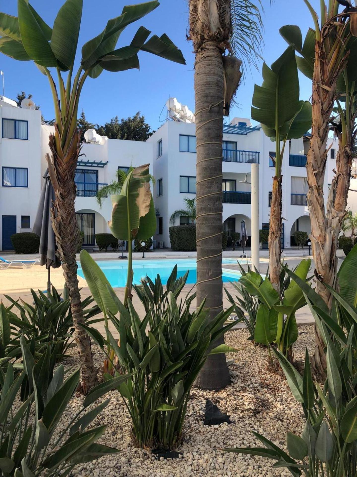 Pool View Apartament Pafos